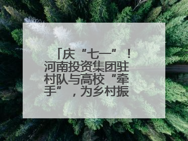 庆“七一”！河南投资集团驻村队与高校“牵手”，为乡村振兴添新活力