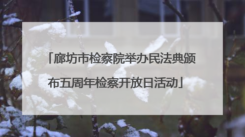 廊坊市检察院举办民法典颁布五周年检察开放日活动