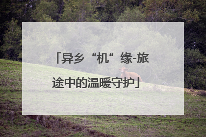 异乡“机”缘-旅途中的温暖守护
