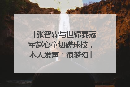 张智霖与世锦赛冠军赵心童切磋球技，本人发声：很梦幻