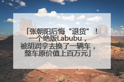 张朝阳后悔“退货”！一个绝版Labubu，被胡润拿去换了一辆车，整车原价值上百万元