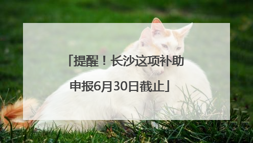 提醒！长沙这项补助申报6月30日截止