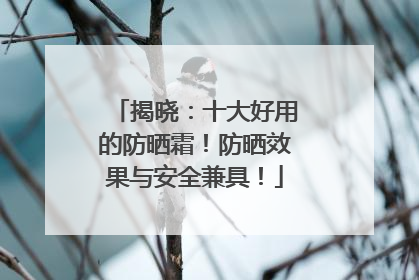 揭晓：十大好用的防晒霜！防晒效果与安全兼具！