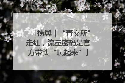 捞舆｜“青交所”走红，流量密码是官方带头“玩起来”