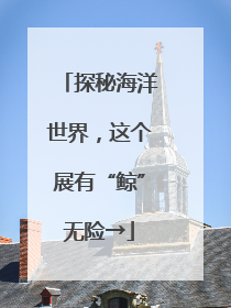 探秘海洋世界，这个展有“鲸”无险→
