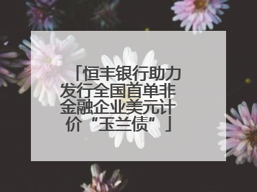 恒丰银行助力发行全国首单非金融企业美元计价“玉兰债”