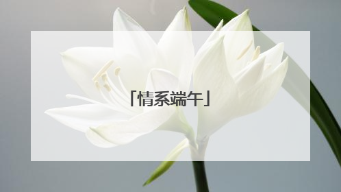 情系端午