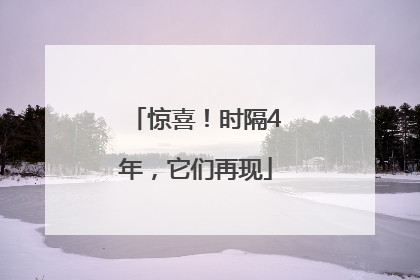 惊喜！时隔4年，它们再现