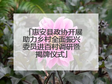 惠安县政协开展助力乡村全面振兴委员进百村调研暨揭牌仪式