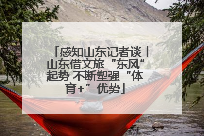 感知山东记者谈丨山东借文旅“东风”起势 不断塑强“体育+”优势