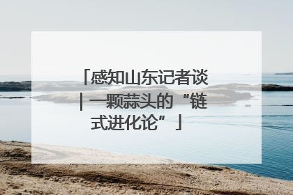 感知山东记者谈｜一颗蒜头的“链式进化论”