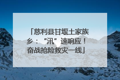 慈利县甘堰土家族乡：“汛”速响应！奋战抢险救灾一线