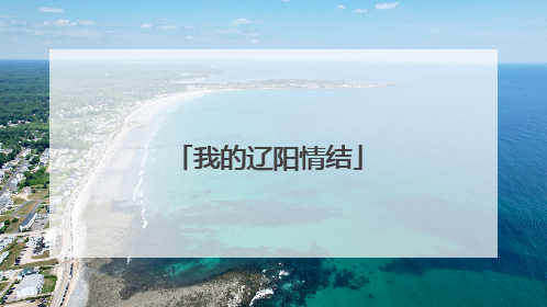 我的辽阳情结