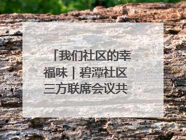 我们社区的幸福味｜碧潭社区三方联席会议共建紫岫幸福家