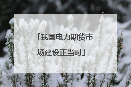 我国电力期货市场建设正当时