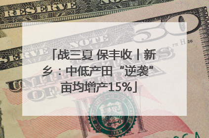 战三夏 保丰收丨新乡：中低产田“逆袭” 亩均增产15%
