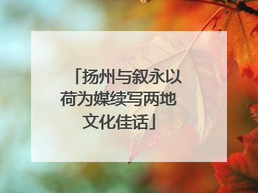 扬州与叙永以荷为媒续写两地文化佳话