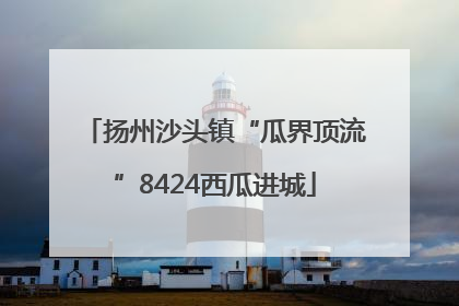 扬州沙头镇“瓜界顶流”8424西瓜进城