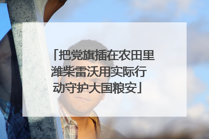把党旗插在农田里 潍柴雷沃用实际行动守护大国粮安