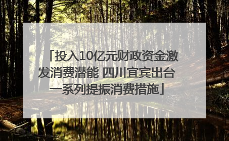 投入10亿元财政资金激发消费潜能 四川宜宾出台一系列提振消费措施