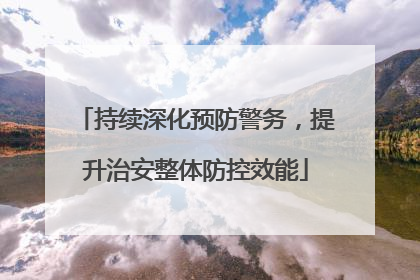 持续深化预防警务，提升治安整体防控效能