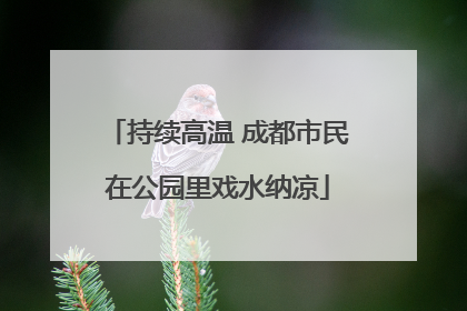持续高温 成都市民在公园里戏水纳凉