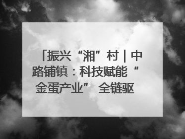 振兴“湘”村｜中路铺镇：科技赋能“金蛋产业” 全链驱动乡村振兴