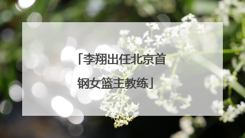 李翔出任北京首钢女篮主教练