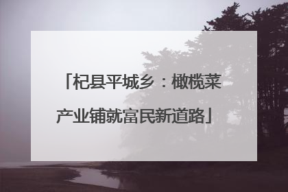 杞县平城乡：橄榄菜产业铺就富民新道路