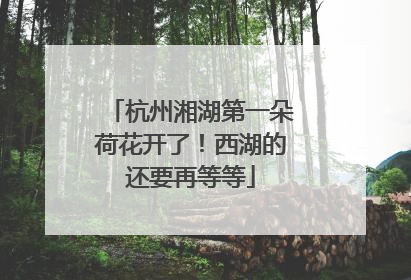 杭州湘湖第一朵荷花开了！西湖的还要再等等