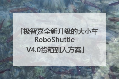 极智嘉全新升级的大小车RoboShuttle V4.0货箱到人方案