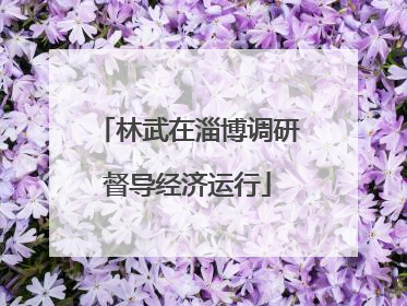 林武在淄博调研督导经济运行