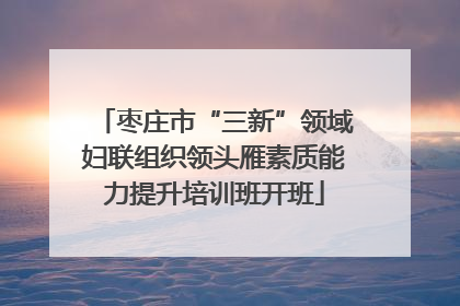 枣庄市“三新”领域妇联组织领头雁素质能力提升培训班开班