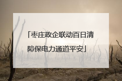 枣庄政企联动百日清障保电力通道平安