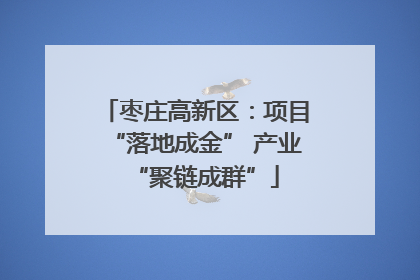 枣庄高新区：项目“落地成金” 产业“聚链成群”