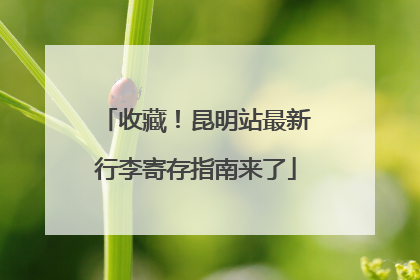收藏！昆明站最新行李寄存指南来了