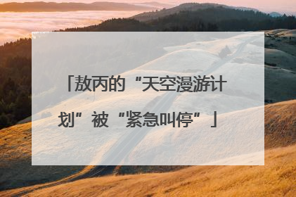 敖丙的“天空漫游计划”被“紧急叫停”