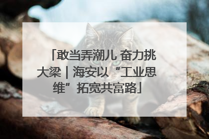 敢当弄潮儿 奋力挑大梁｜海安以“工业思维”拓宽共富路