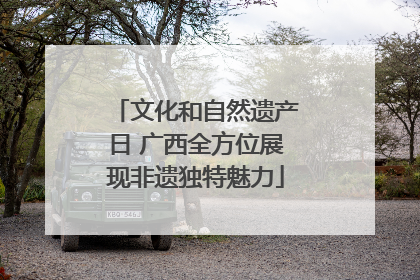 文化和自然遗产日 广西全方位展现非遗独特魅力