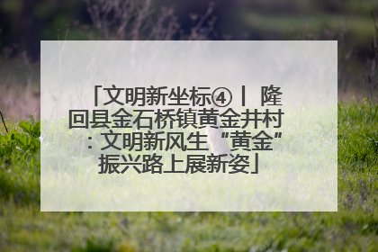 文明新坐标④丨 隆回县金石桥镇黄金井村：文明新风生“黄金” 振兴路上展新姿
