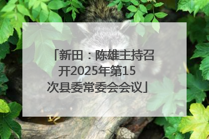 新田：陈雄主持召开2025年第15次县委常委会会议