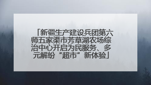 新疆生产建设兵团第六师五家渠市芳草湖农场综治中心开启为民服务、多元解纷“超市”新体验