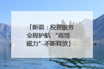新疆：税费服务全程护航 “商博磁力”不断释放