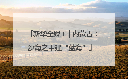新华全媒+｜内蒙古：沙海之中建“蓝海”