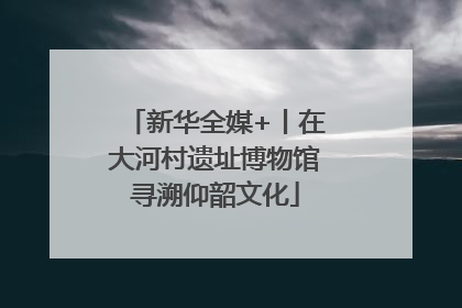 新华全媒+丨在大河村遗址博物馆寻溯仰韶文化