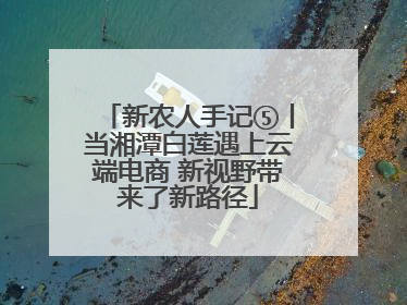 新农人手记⑤丨当湘潭白莲遇上云端电商 新视野带来了新路径