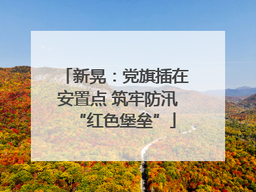 新晃：党旗插在安置点 筑牢防汛“红色堡垒”