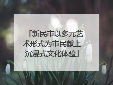 新民市以多元艺术形式为市民献上沉浸式文化体验