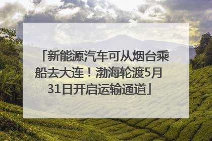 新能源汽车可从烟台乘船去大连！渤海轮渡5月31日开启运输通道