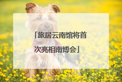 旅居云南馆将首次亮相南博会